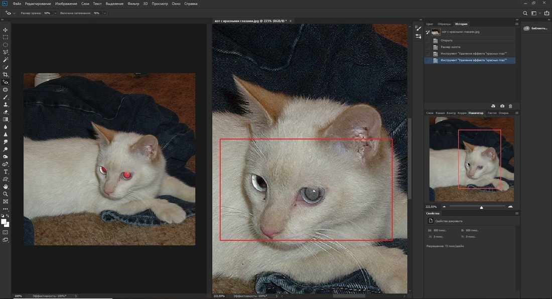 Применение инструмента Красных глаз в Adobe Photoshop