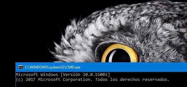 Скриншот Windows 10 Build 15003
