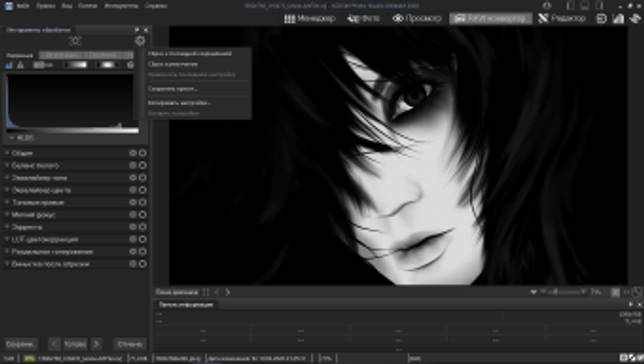 ACDSee Photo Studio Ultimate 2020 v13.0.2 Build 2057 на русском + активация скачать бесплатно
