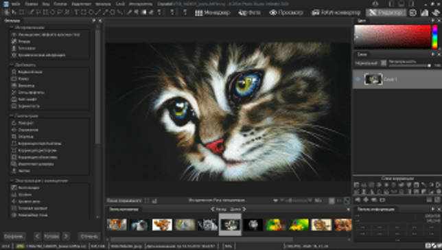 ACDSee Photo Studio Ultimate 2020 v13.0.2 Build 2057 на русском + активация скачать бесплатно