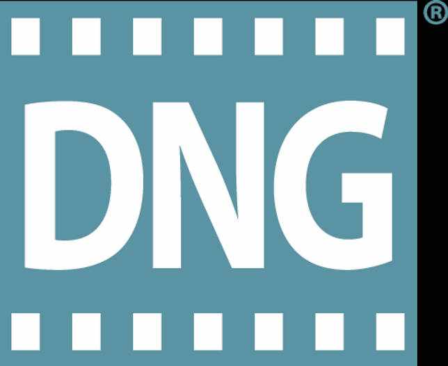 DNG_logo_blue