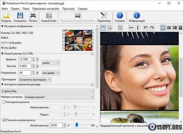 Benvista PhotoZoom Pro 8.0.6 русская версия + код активации скачать бесплатно