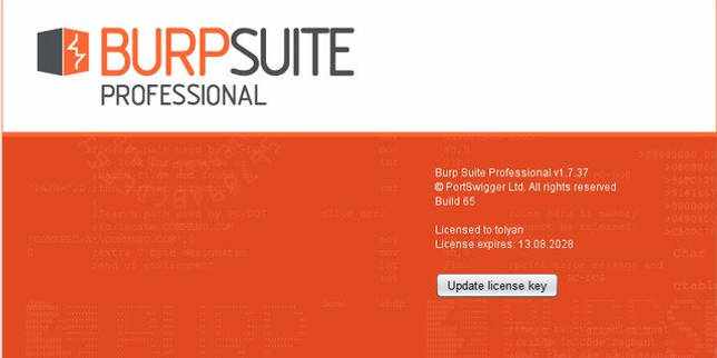 Burp Suite Professional 2020.9.1 Build 3995 крякнутый скачать бесплатно