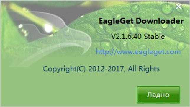 EagleGet 2.1.6.70 на русском скачать бесплатно