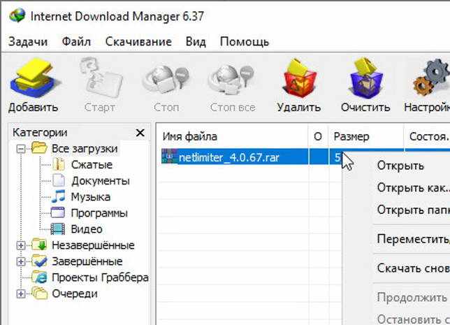 Internet Download Manager 6.38.2 + ключ (на русском)