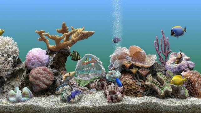 Marine Aquarium 3.3.6369 + код активации скачать бесплатно
