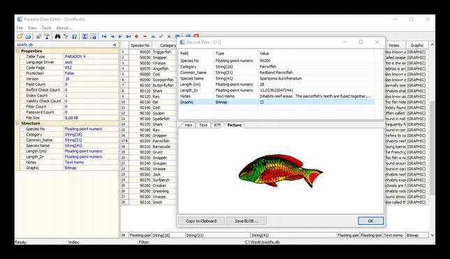 Интерфейс программы Paradox Data Editor