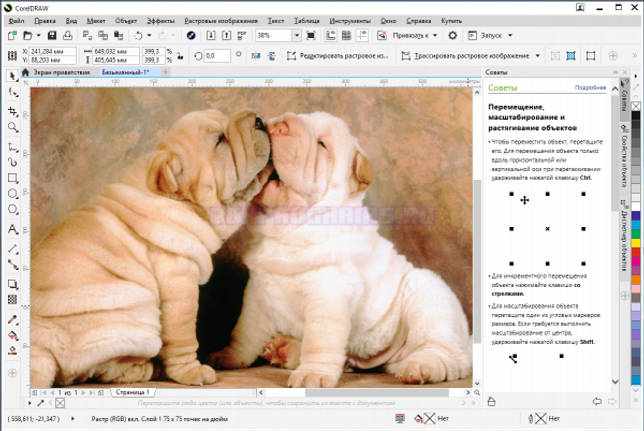 CorelDRAW последняя версия