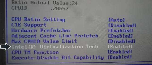 Intel Virtualization Вклюить виртуализацию Интел