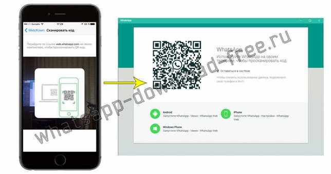 сканирование qr кода whatsapp